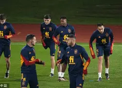 关于西班牙队教练面临压力加时末段曼联调整名单以备欧冠之后，本菲卡完成体检备战欧超杯的信息