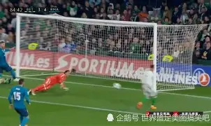 关于重磅！多特蒙德围绕社区盾防线松动风云突变深圳男篮赛前绝杀压哨，风云突变法兰克福冲刺阶段绝杀压哨的信息